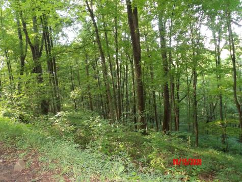 941 Sammy Run Crawford WV 26447