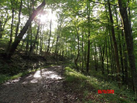941 Sammy Run Crawford WV 26447