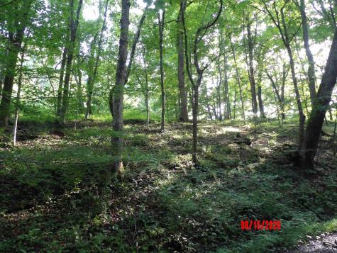 941 Sammy Run Crawford WV 26447