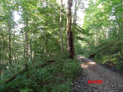 941 Sammy Run Crawford WV 26447