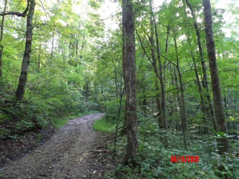 941 Sammy Run Crawford WV 26447