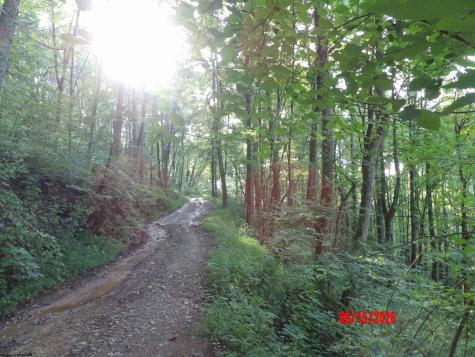 941 Sammy Run Crawford WV 26447