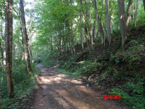 941 Sammy Run Crawford WV 26447