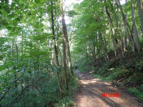 941 Sammy Run Crawford WV 26447