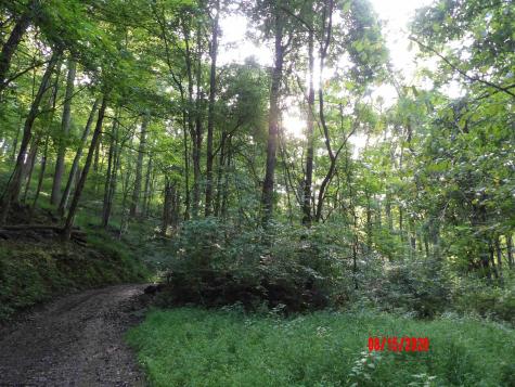 941 Sammy Run Crawford WV 26447