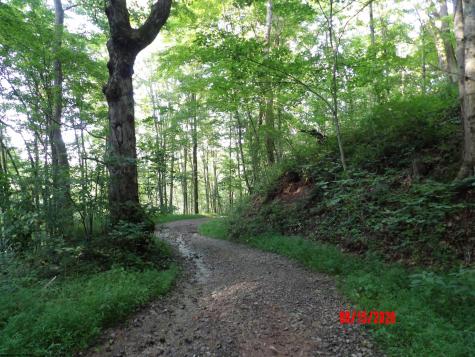 941 Sammy Run Crawford WV 26447