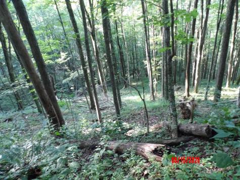941 Sammy Run Crawford WV 26447