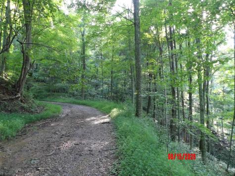 941 Sammy Run Crawford WV 26447