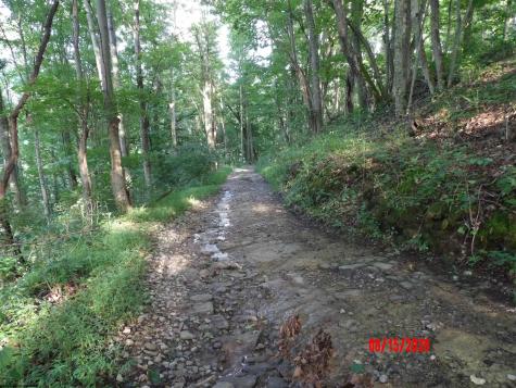 941 Sammy Run Crawford WV 26447
