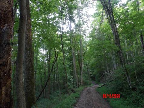941 Sammy Run Crawford WV 26447