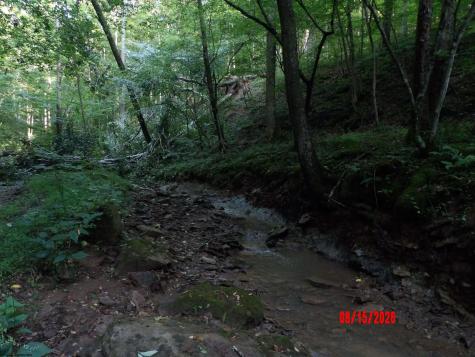 941 Sammy Run Crawford WV 26447