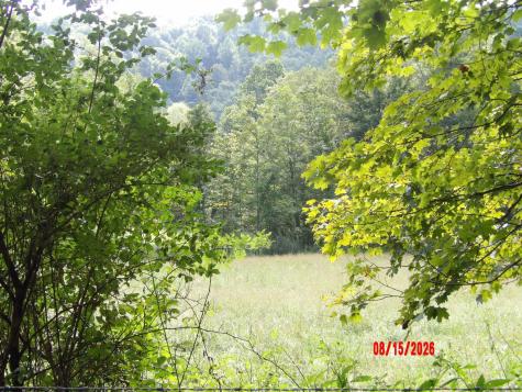 941 Sammy Run Crawford WV 26447