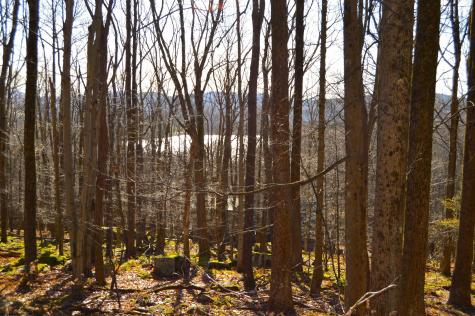 154 Daisy Drive Terra Alta WV 26764