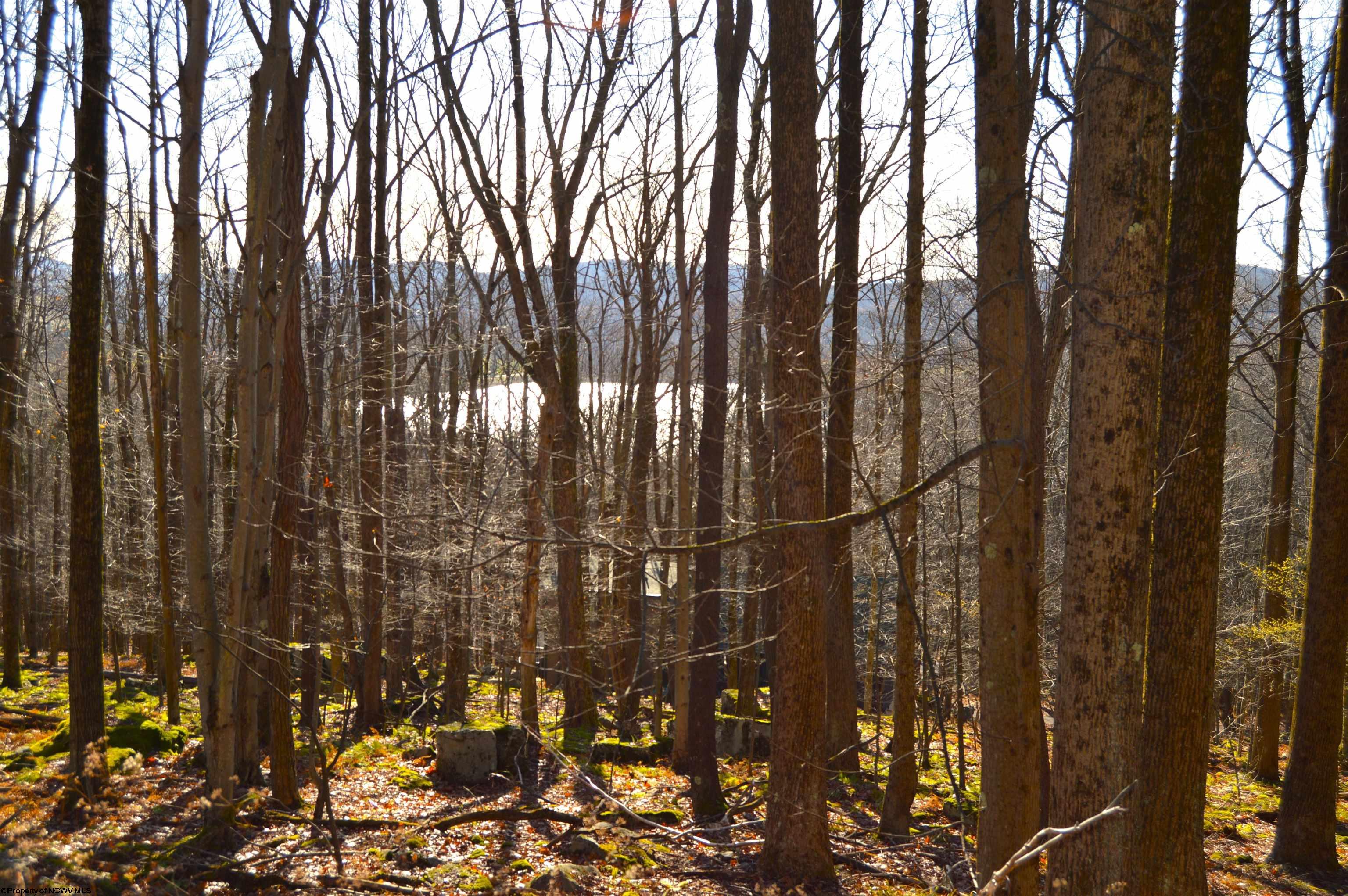 154 Daisy Drive Terra Alta WV 26764