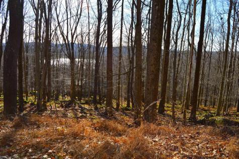154 Daisy Drive Terra Alta WV 26764