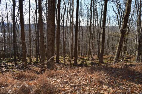 154 Daisy Drive Terra Alta WV 26764
