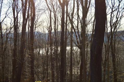 154 Daisy Drive Terra Alta WV 26764