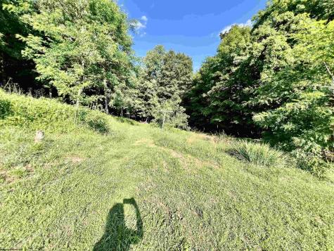 1945 Wilson Ridge Road Duck WV 25063