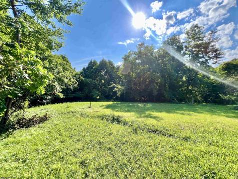 1945 Wilson Ridge Road Duck WV 25063