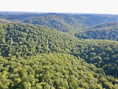 1945 Wilson Ridge Road Duck WV 25063