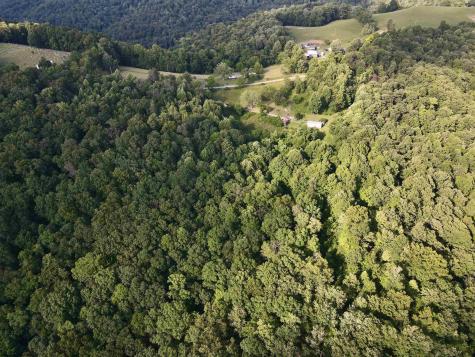1945 Wilson Ridge Road Duck WV 25063