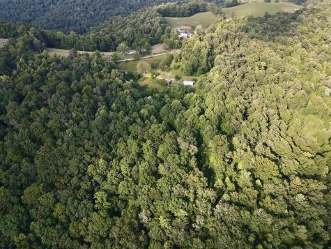 1945 Wilson Ridge Road Duck WV 25063