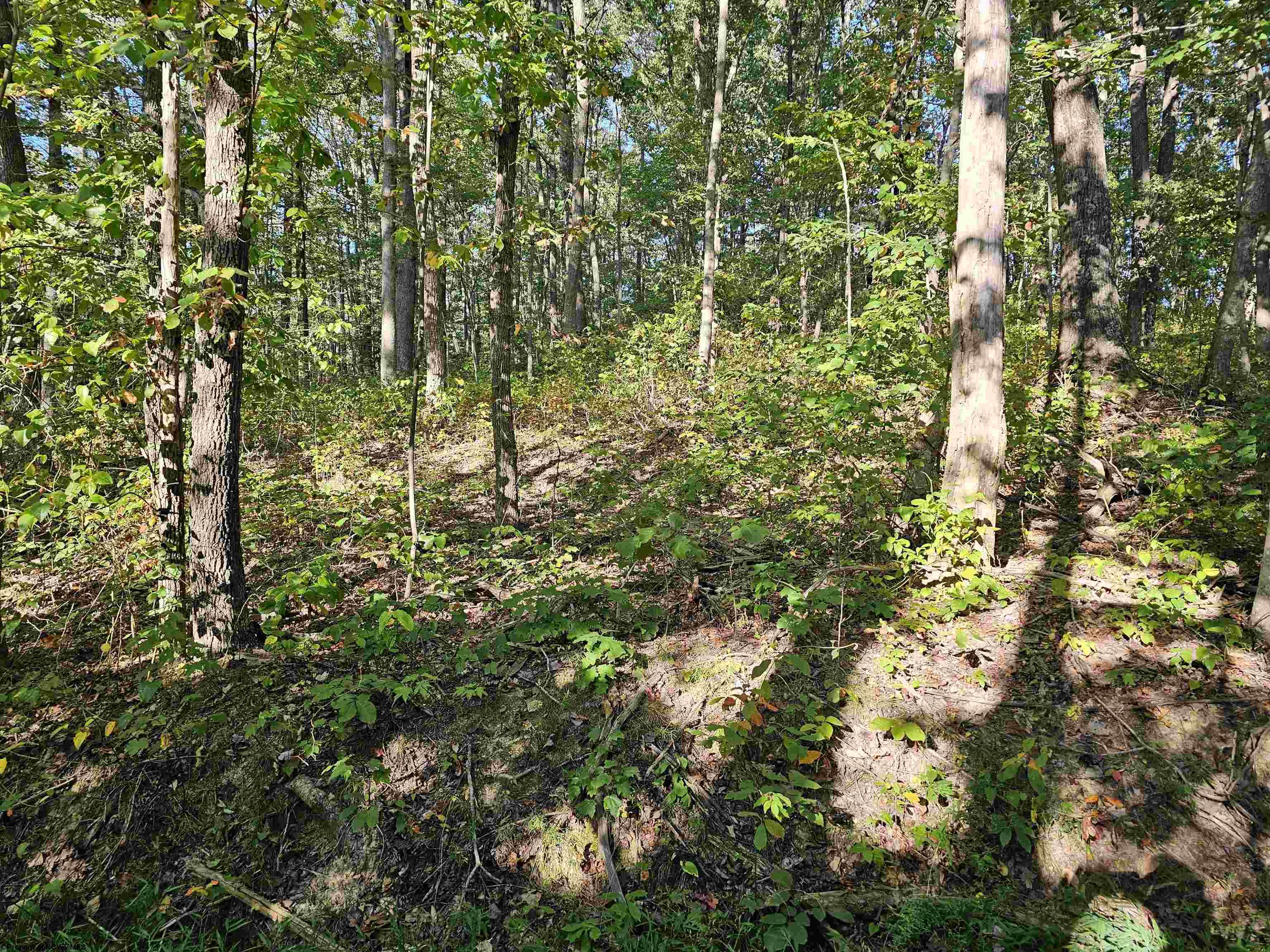 0 Cr 66/1 Road Charleston WV 25306