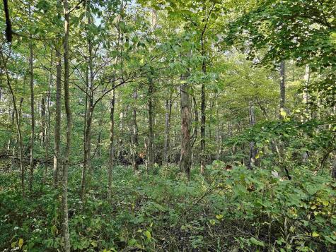 0 Cr 66/1 Road Charleston WV 25306