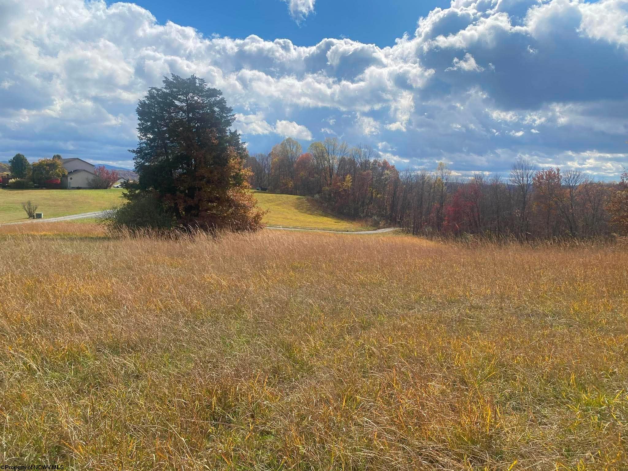 2 High Meadows Drive Moatsville WV 26405
