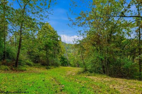 0 Peach Tree Fork Road Normantown WV 25267