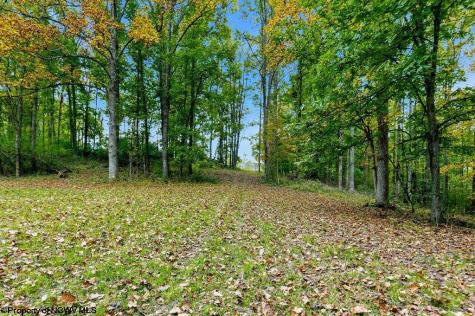 0 Peach Tree Fork Road Normantown WV 25267