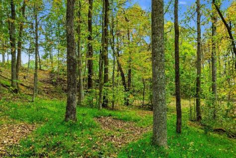 0 Peach Tree Fork Road Normantown WV 25267