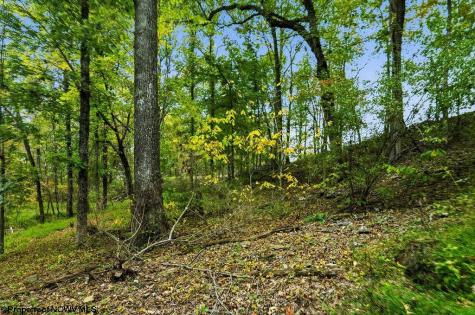 0 Peach Tree Fork Road Normantown WV 25267