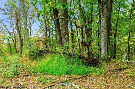 0 Peach Tree Fork Road Normantown WV 25267