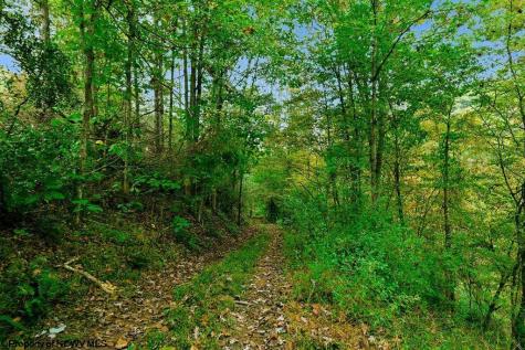 0 Peach Tree Fork Road Normantown WV 25267