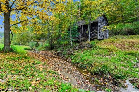 0 Peach Tree Fork Road Normantown WV 25267