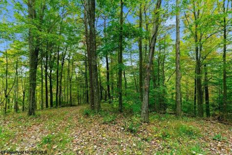 0 Peach Tree Fork Road Normantown WV 25267