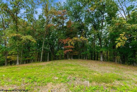 0 Peach Tree Fork Road Normantown WV 25267
