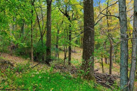 0 Peach Tree Fork Road Normantown WV 25267