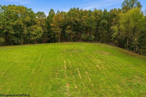 0 Peach Tree Fork Road Normantown WV 25267
