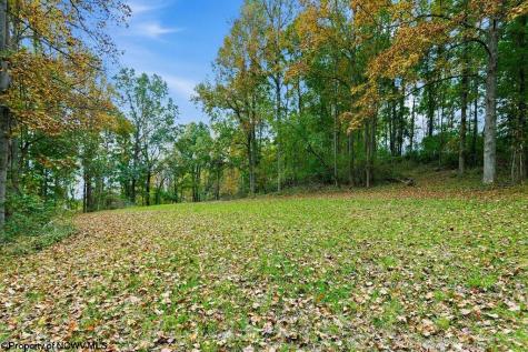 0 Peach Tree Fork Road Normantown WV 25267