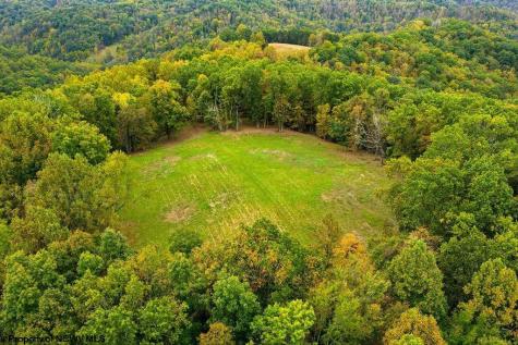 0 Peach Tree Fork Road Normantown WV 25267