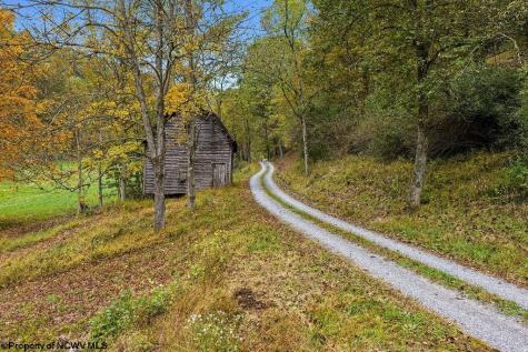 0 Peach Tree Fork Road Normantown WV 25267