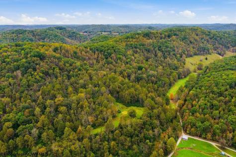 0 Peach Tree Fork Road Normantown WV 25267