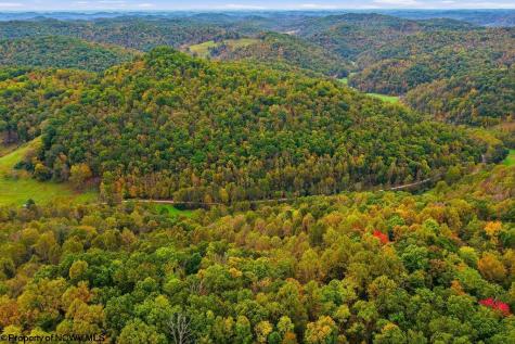 0 Peach Tree Fork Road Normantown WV 25267