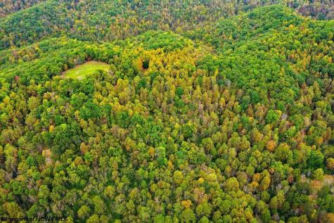 0 Peach Tree Fork Road Normantown WV 25267