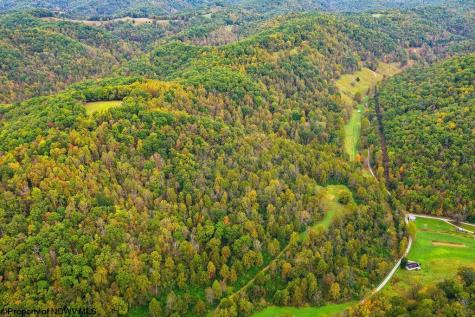 0 Peach Tree Fork Road Normantown WV 25267