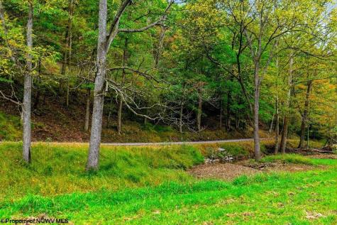 0 Peach Tree Fork Road Normantown WV 25267