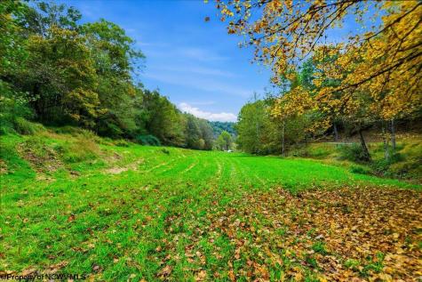 0 Peach Tree Fork Road Normantown WV 25267