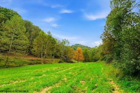 0 Peach Tree Fork Road Normantown WV 25267